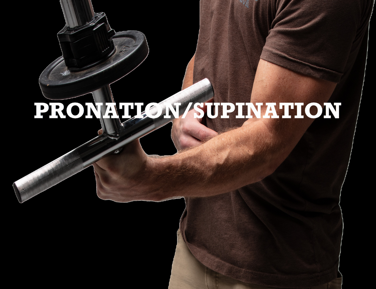 The Strong Arm Forearm & Wrist Training Bar