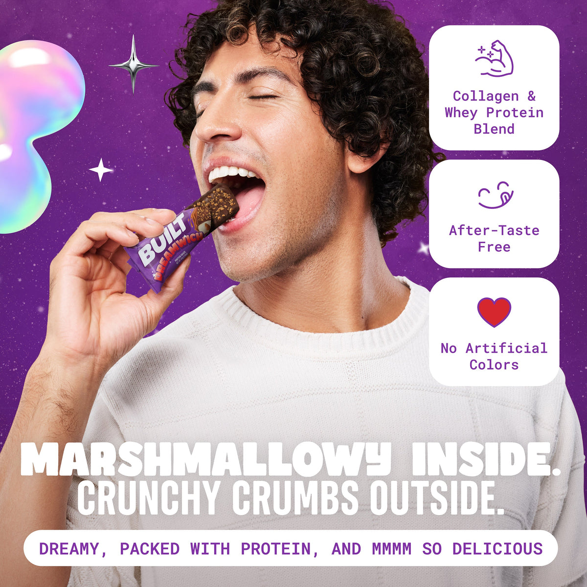 Dreamwich Cookie Butter Protein Snack