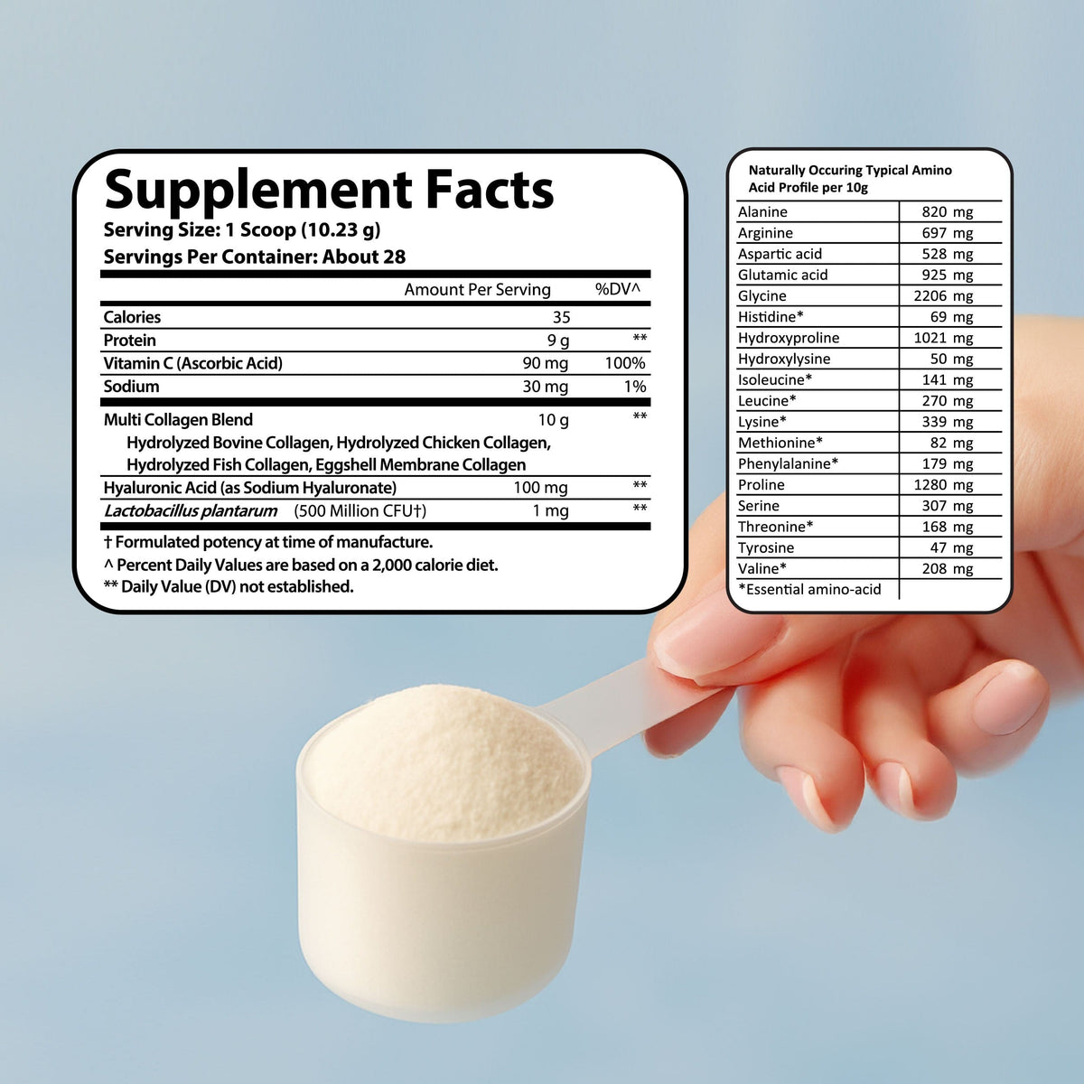 Multi Collagen Complex + with Vitamin C & Hyaluronic Acid
