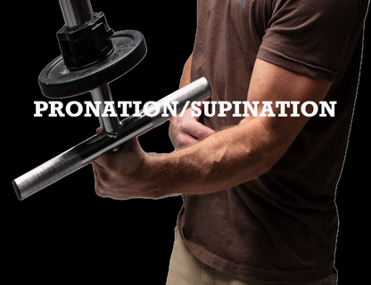 The Strong Arm Forearm & Wrist Training Bar